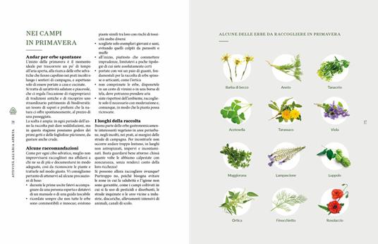 Outdoor. Vita e cucina all'aperto - 4