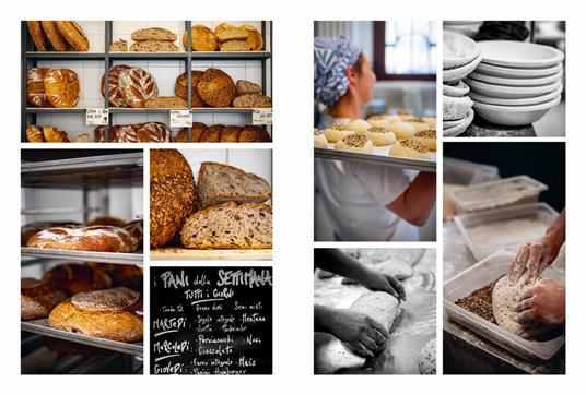 La stagione del pane. Tecniche e ricette per impasti perfetti - Barbara Torresan - 5