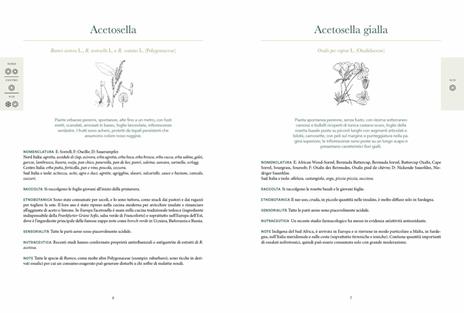 Atlante gastronomico delle erbe. 170 piante. 60 ricette. Ediz. illustrata - Andrea Pieroni - 3
