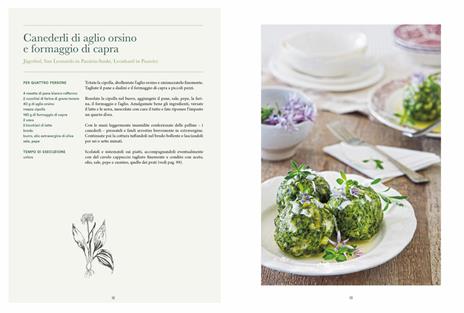 Atlante gastronomico delle erbe. 170 piante. 60 ricette. Ediz. illustrata - Andrea Pieroni - 4