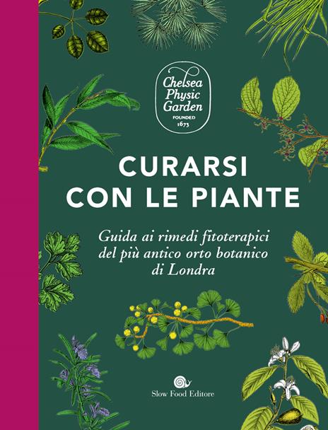 Curarsi con le piante. Giuda ai rimendi fitoterapici del più antico orto botanico di Londra. Ediz. a colori - Holly Farrell - copertina