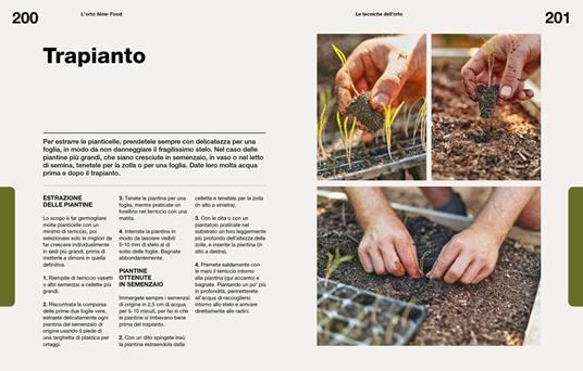 L'orto slow food. Semina, coltiva e cucina per un anno - Huw Richards,Sam Cooper - 4
