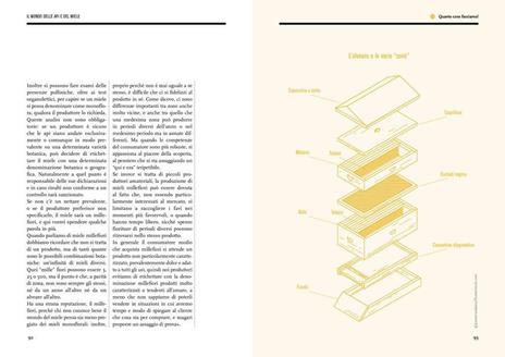Il mondo delle api e del miele. Le stagioni, i problemi, la vita dell'alveare e dei suoi prodotti - Cinzia Scaffidi - 4