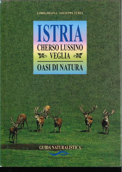 Istria, Cherso, Lussino: guida storico-artistica. Storia e cultura di 50 comuni! - copertina