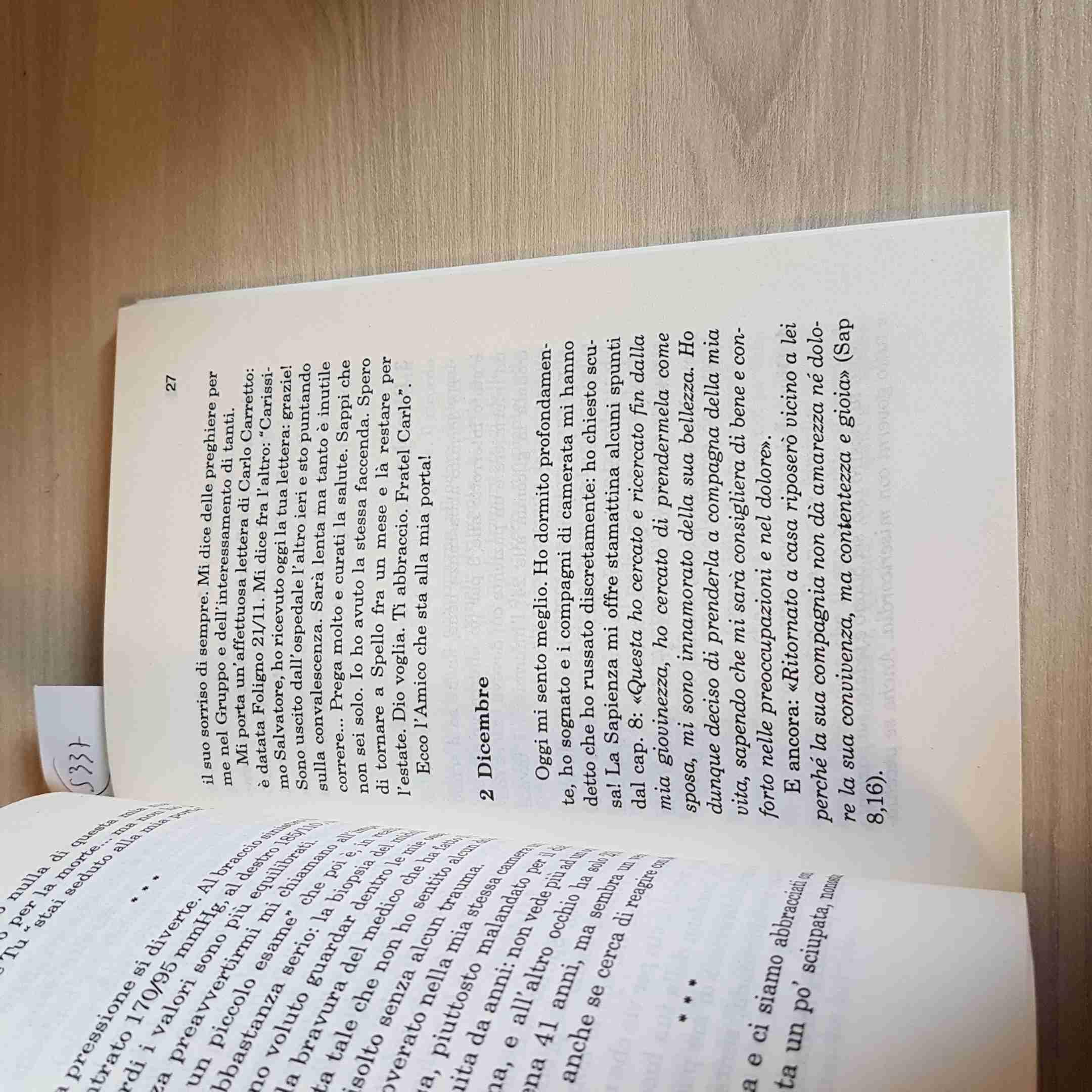 Cercando l'amico. Pagine di diario