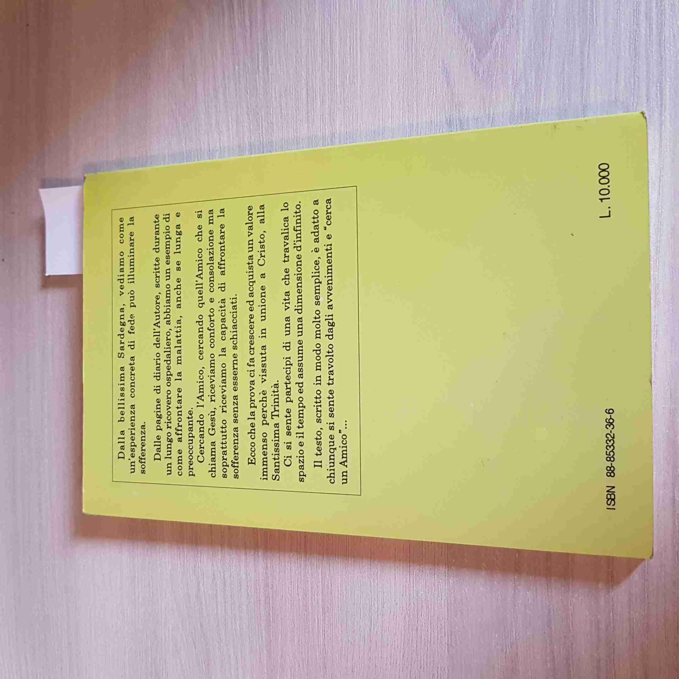 Cercando l'amico. Pagine di diario