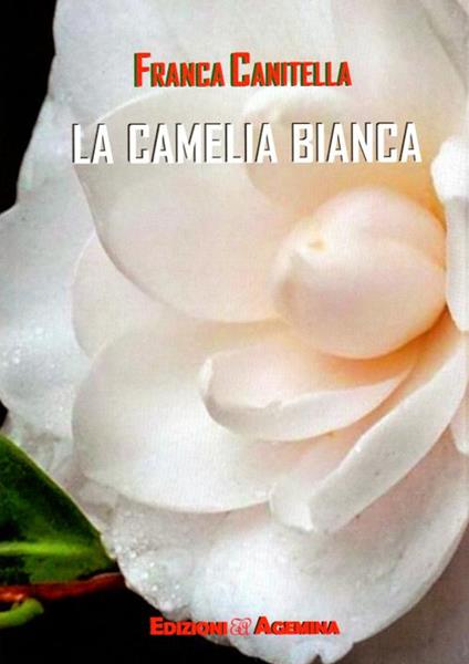 La camelia bianca - Francesca Canitella - copertina