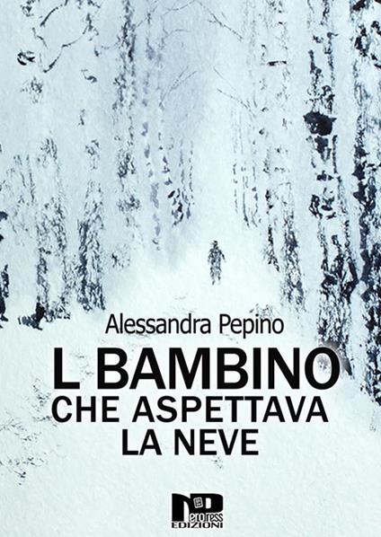 Il bambino che aspettava la neve - Alessandra Pepino - ebook