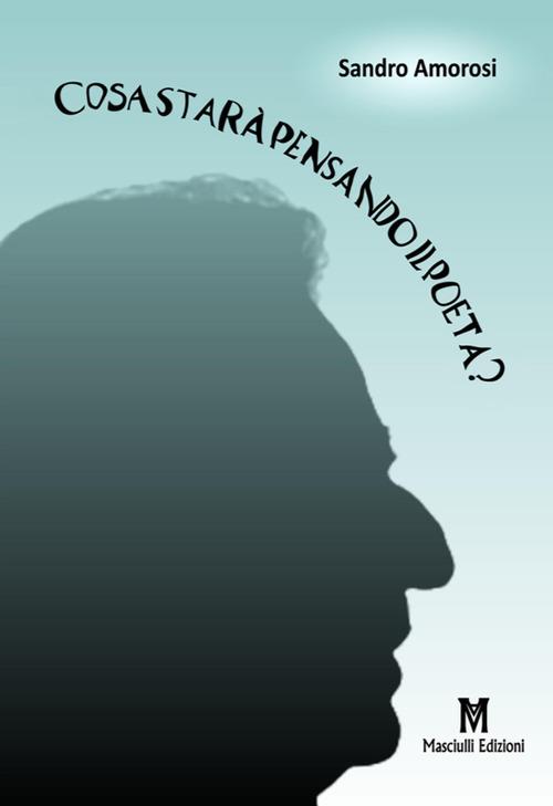 Cosa starà pensando il poeta? - Sandro Amorosi - copertina
