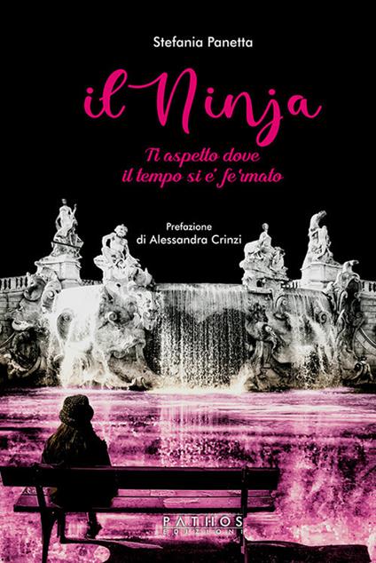 Il ninja. Ti aspetto dove il tempo si è fermato - Stefania Panetta - copertina