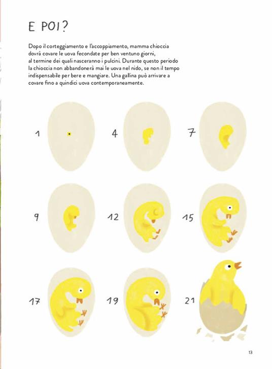 Il gallinario. Ediz. a colori - Camilla Pintonato,Barbara Sandri,Francesco Giubbilini - 6