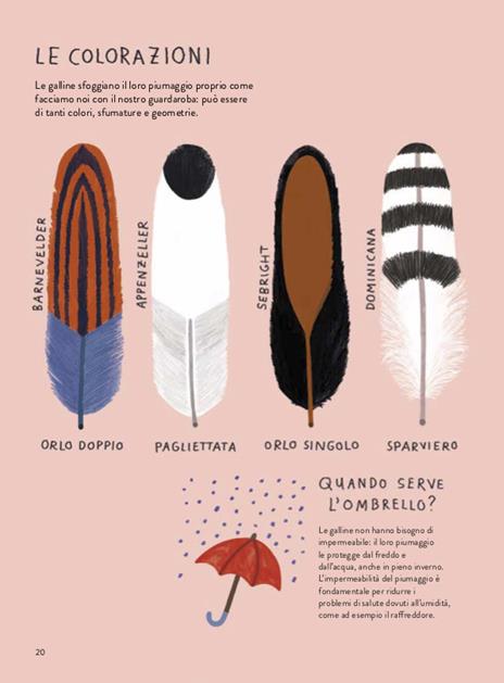 Il gallinario. Ediz. a colori - Camilla Pintonato,Barbara Sandri,Francesco Giubbilini - 8