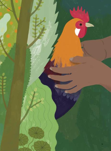 Il gallinario. Ediz. a colori - Camilla Pintonato,Barbara Sandri,Francesco Giubbilini - 9