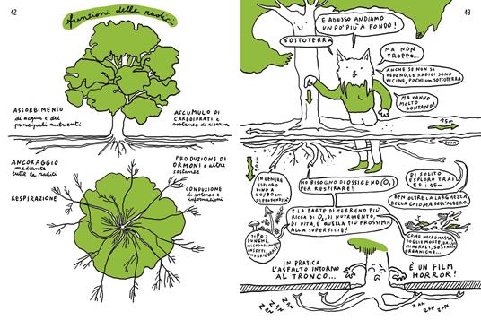 Alberi di strada. Manuale di convivenza con il verde urbano - Sara Filippi Plotegher - 4
