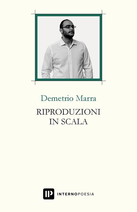 Riproduzioni in scala - Demetrio Marra - copertina