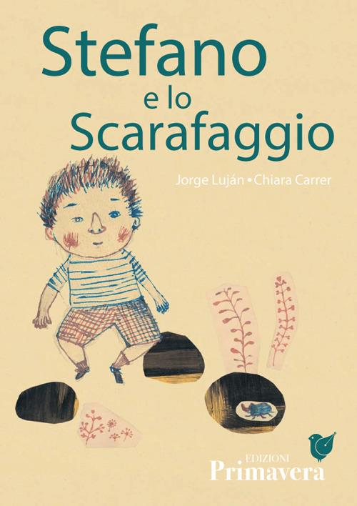 Stefano e lo scarafaggio - Jorge Luján,Chiara Carrer - copertina