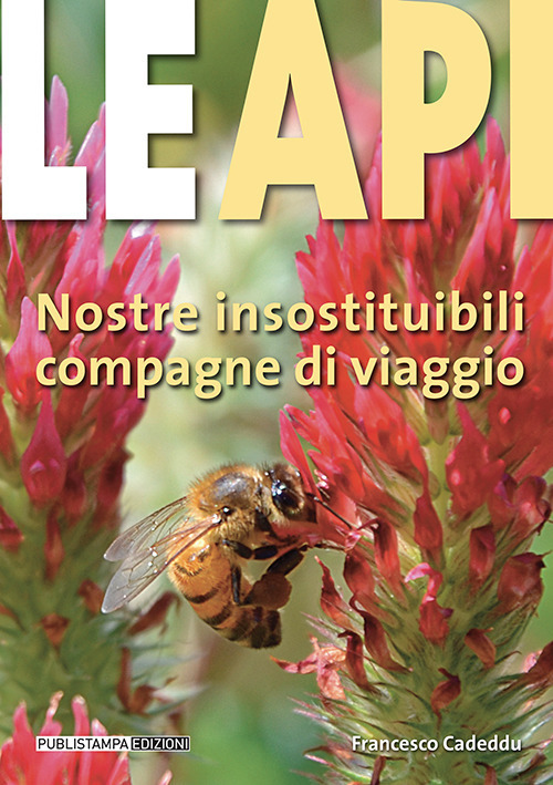 IL PAPIRO