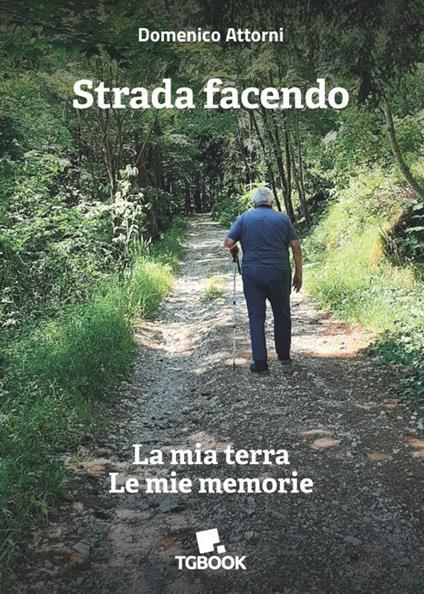Strada facendo. La mia terra. Le mie memorie - Domenico Attorni - copertina