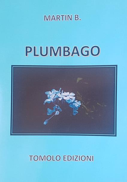 Plumbago - Martin B. - copertina