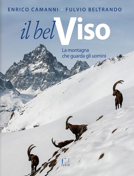 Il Bel Viso. La montagna che guarda gli uomini. Ediz. illustrata - Enrico Camanni - copertina