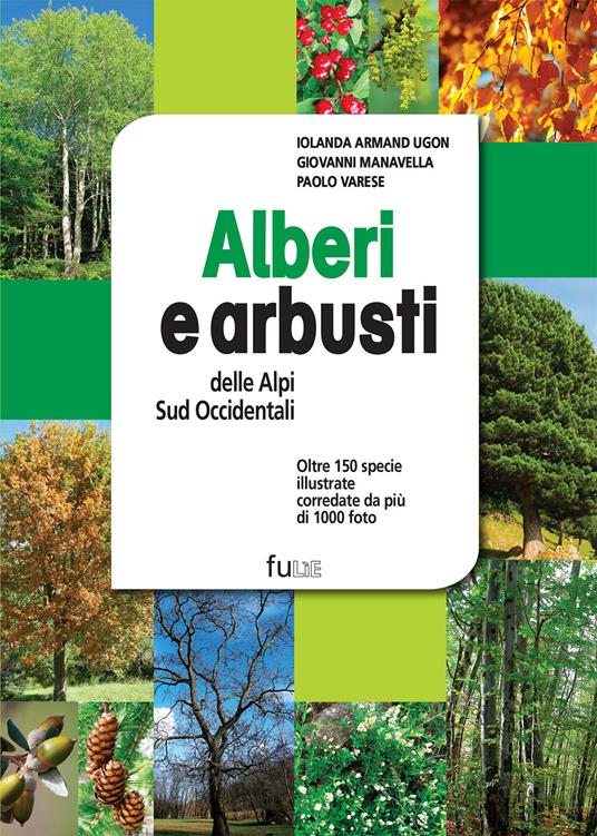 Alberi e arbusti delle Alpi Occidentali. Ediz. a colori - Iolanda Armand Ugon,Giovanni Manavella,Paolo Varese - copertina