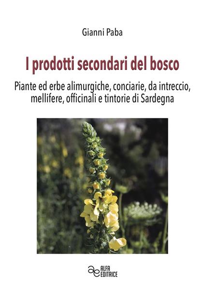 I prodotti secondari del bosco. Piante ed erbe alimurgiche, conciarie, da intreccio, mellifere, officinali e tintorie di Sardegna - Gianni Paba - copertina