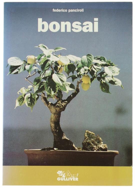 Bergoglio Libri d'Epoca Snc