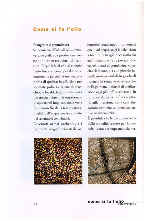 Extravergine. Manuale per conoscere l'olio d'oliva - Nanni Ricci,Diego Soracco - 5
