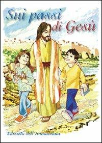 Sui passi di Gesù. Ediz. illustrata - Stefano Armaroli,Luca Soldati - copertina