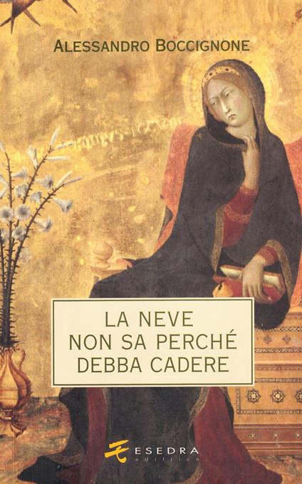 La neve non sa perché debba cadere - Alessandro Boccignone - copertina