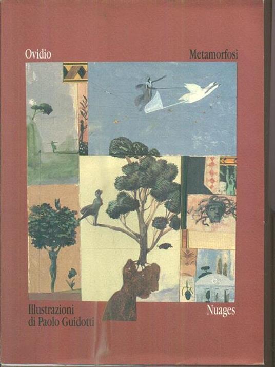 Metamorfosi - P. Nasone Ovidio,Paolo Guidotti - copertina