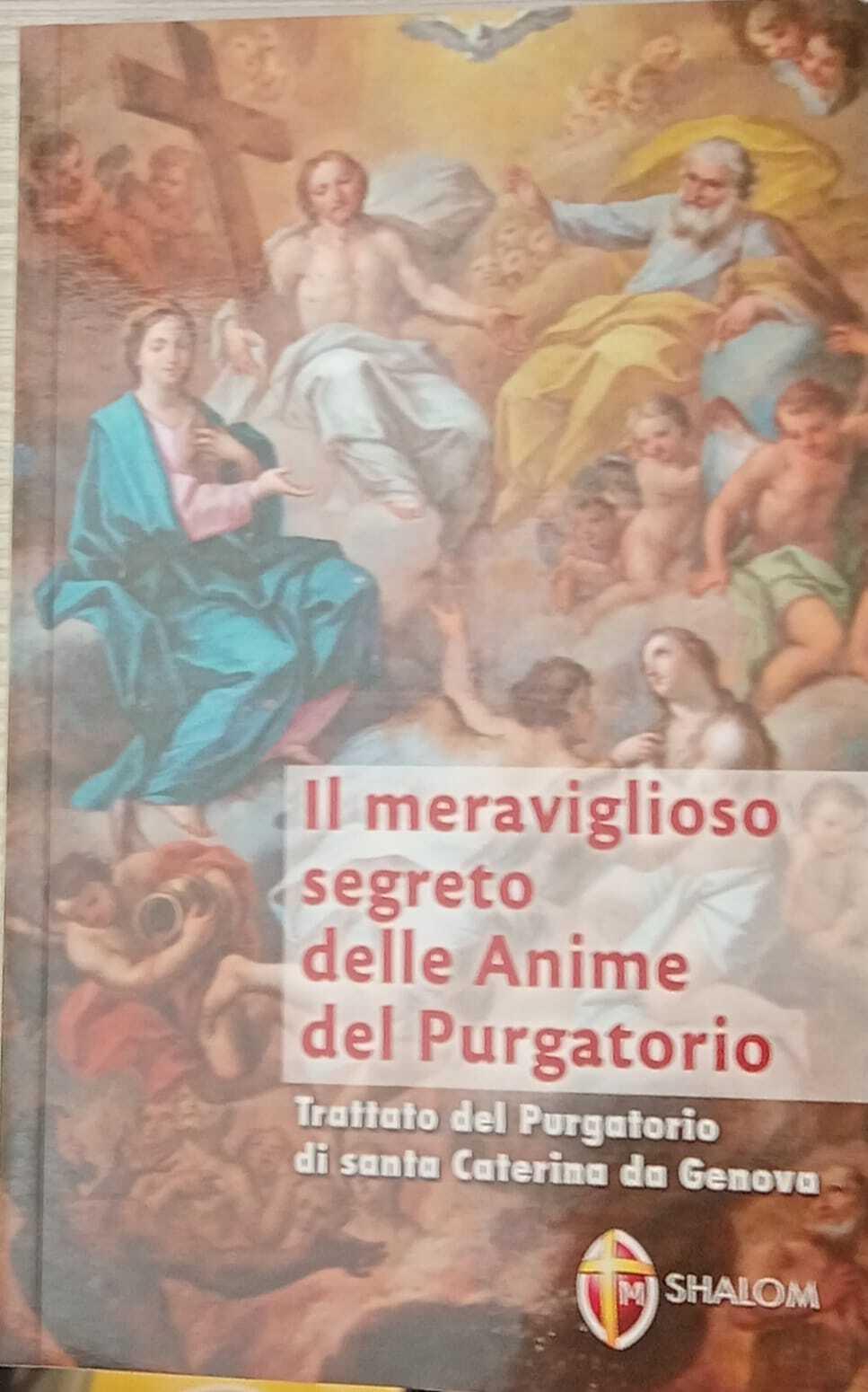 Librisaggi