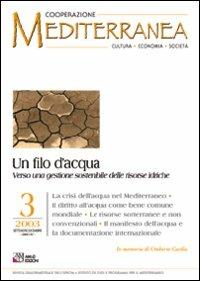 Un filo d'acqua. Verso una gestione sostenibile delle risorse idriche - copertina