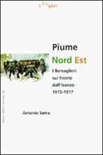 Piume a nord est. I bersaglieri sul fronte dell'Isonzo (1915-1917)