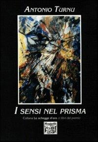 I sensi nel prisma - Antonio Turnu - copertina