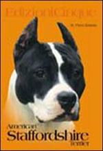 American staffordshire terrier