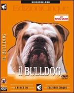 Bulldog inglese. DVD