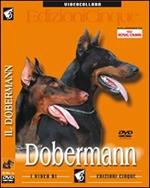 Dobermann. DVD