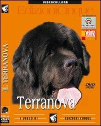 Terranova. DVD - copertina