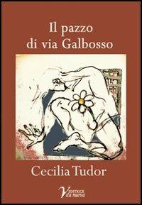 Il pazzo di via Galbosso - Cecilia Tudor - copertina