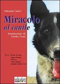 Miracolo al canile. Brevi storie appassionate, curiose, sconvolgenti, semplicemente vere - copertina