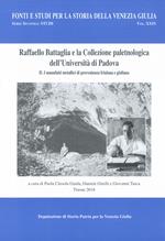 Raffaello Battaglia e la collezione paleontologica dell'Università di Padova. Vol. 2: manufatti metallici di provenienza friulana e giuliana, I.