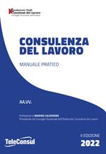 Consulenza del lavoro. Manuale pratico