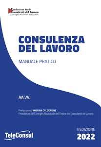 Consulenza del lavoro. Manuale pratico