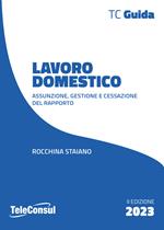 Lavoro domestico. Assunzione, gestione e cessazione del rapporto