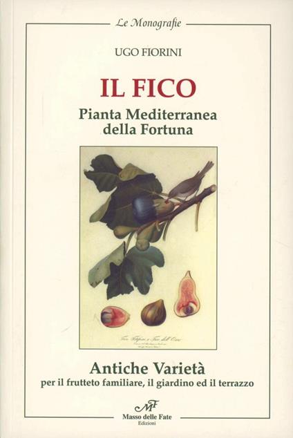 Il fico pianta mediterranea della fortuna. Antiche varietà per frutteto familiare, il giardino e il terrazzo - Ugo Fiorini - copertina