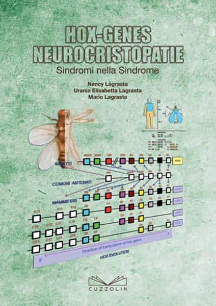 Hox-genes neurocristopatie - Nancy Lagrasta,Urania E. Lagrasta,Mario Lagrasta - copertina