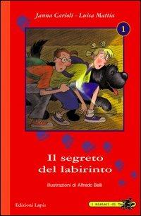 Il segreto del labirinto - Janna Carioli,Luisa Mattia - copertina