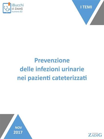 Prevenzione delle infezioni urinarie nei pazienti cateterizzati - Paola Di Giulio - ebook