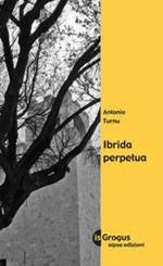 Ibrida perpetua